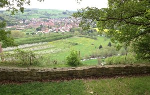 Odernheim - Blick vom Disibodenberg - Glan Tal
