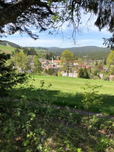Schwarzwald